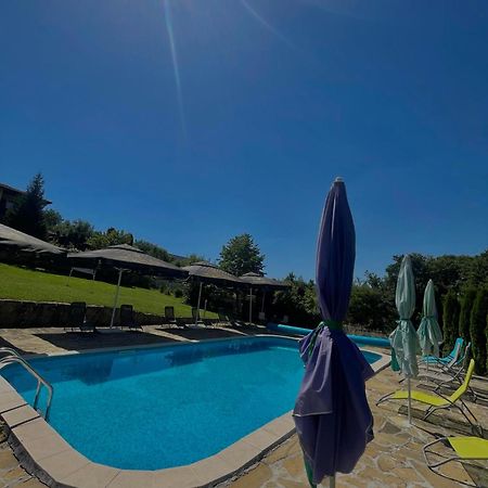 Bachvarovi Villas 特里亚夫纳 外观 照片